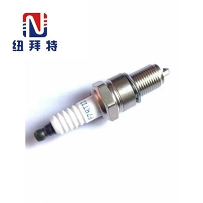 Spark Plug For Automotive